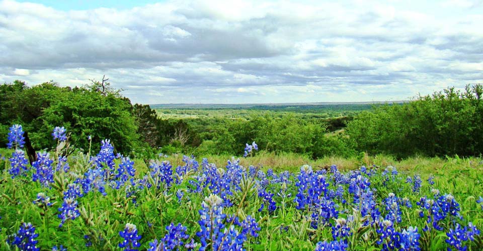 Land for Sale in New Braunfels, Texas